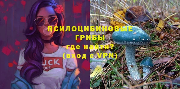 прущая мука Карпинск