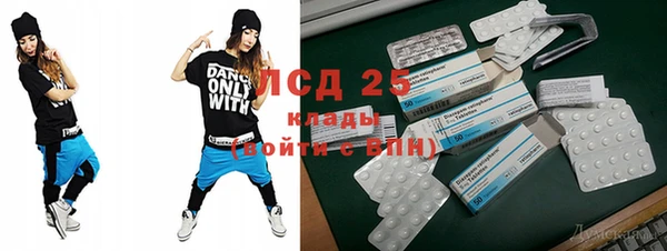 крисы Бородино