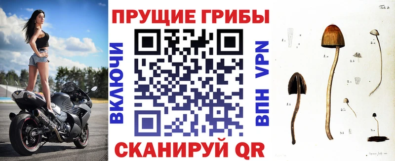 Галлюциногенные грибы мухоморы Лянтор